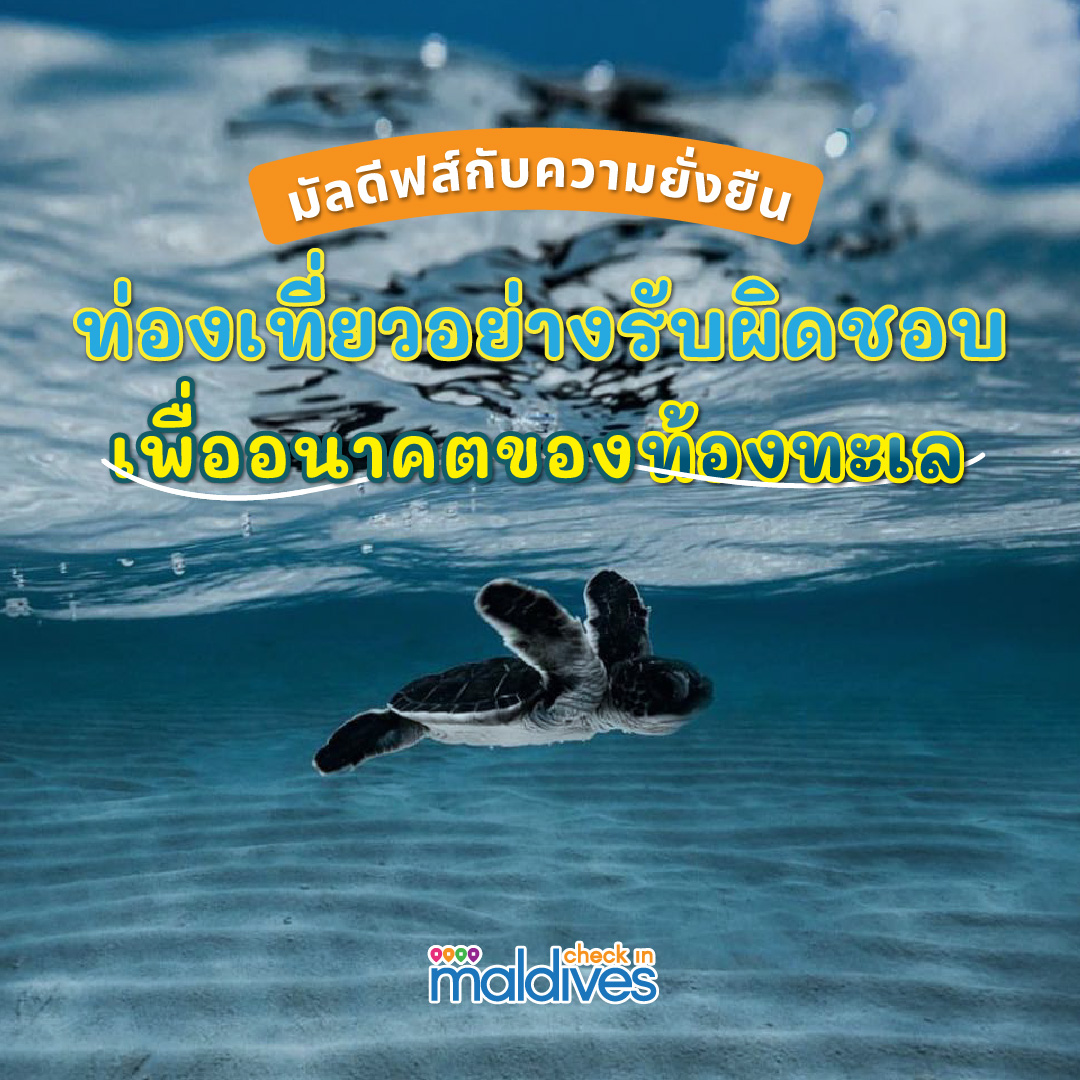 มัลดีฟส์กับความยั่งยืน ท่องเที่ยวอย่างรับผิดชอบเพื่ออนาคตของท้องทะเล