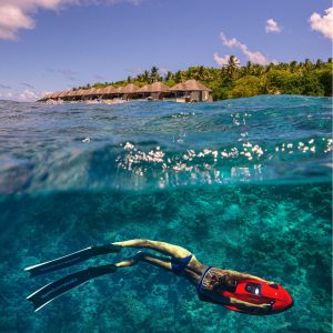 Dusit Thani Maldives House Reef