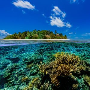 Kandolhu Maldives House Reef