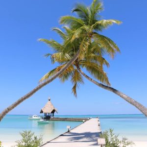 Canareef Resort Maldives