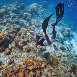 Ellaidhoo Maldives by Cinnamon House Reef