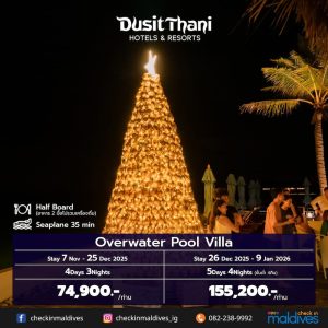 ต้นคริสต์มาสเปลือกหอยทองคำ ณ Dusit Thani Maldives บรรยากาศฉลองปีใหม่ริมทะเล