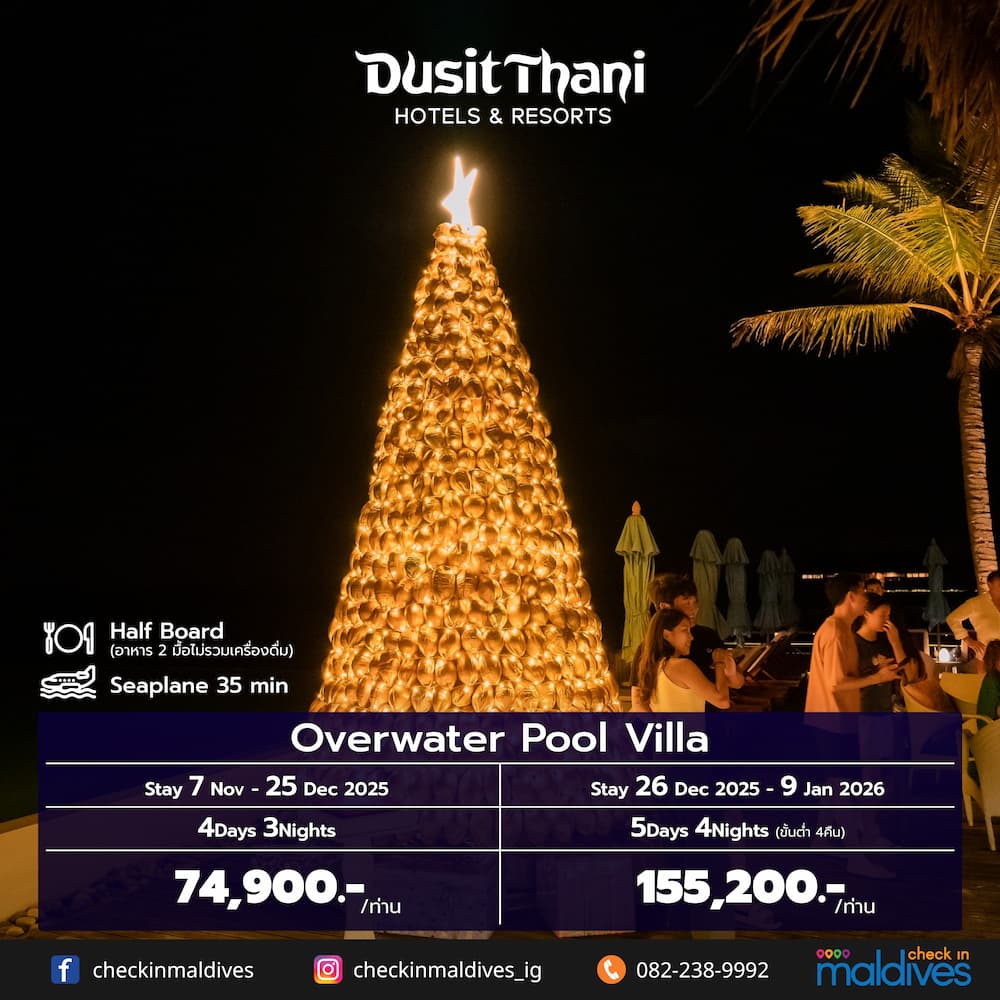 ต้นคริสต์มาสเปลือกหอยทองคำ ณ Dusit Thani Maldives บรรยากาศฉลองปีใหม่ริมทะเล